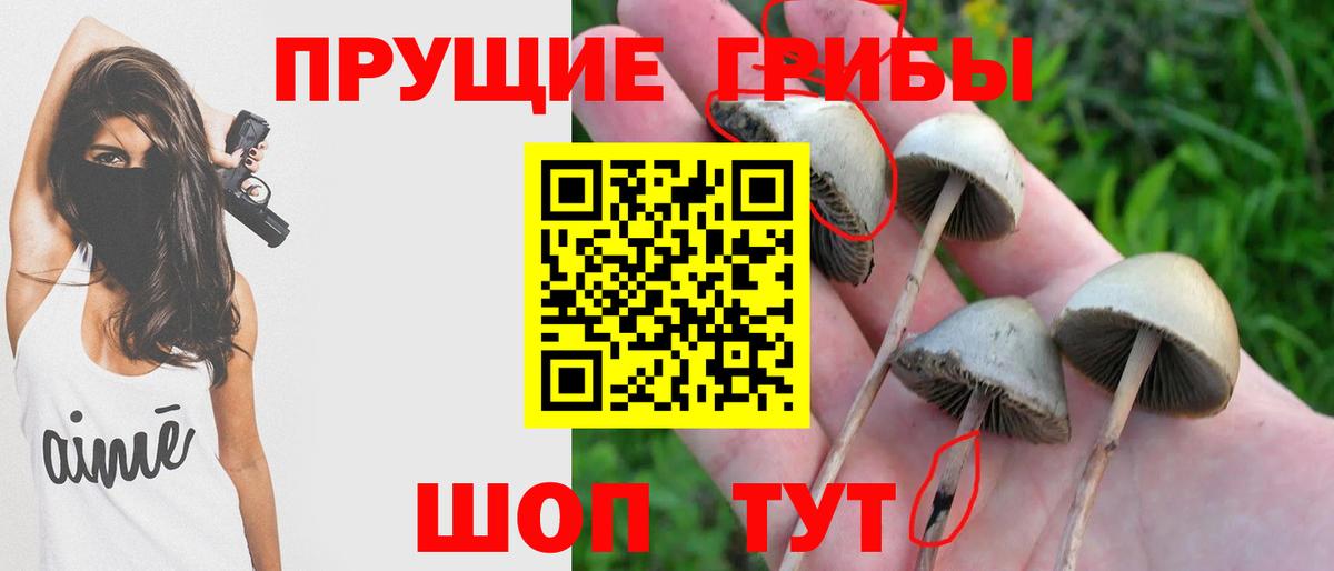 Псилоцибиновые грибы ЛСД Туймазы